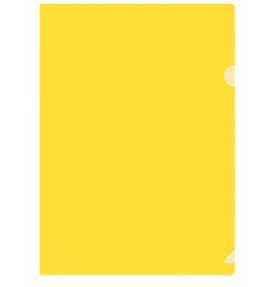 红杰 二页文件套/透明文件夹A4 E310 30个/包（黄色）