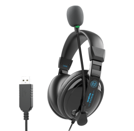 电音 头戴式耳机 D3000 (黑色) USB