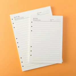 得力佳 活页本替芯 6孔 100张/包  A5/B5