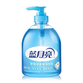 蓝月亮 bluemoon 洗手液 野菊花 500g/瓶 12瓶/箱