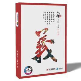 天章 天章风复印纸 A4打印纸 A4纸 A4 80g 500张/包 5包/箱