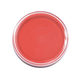 晨光圆形印台印泥 红色 AYZ975L2