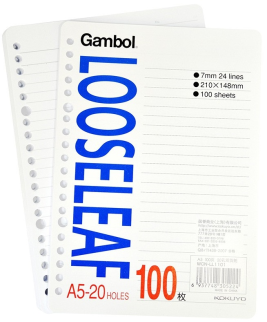 得力佳 活页本替芯 11孔  100张/包  A5/B5