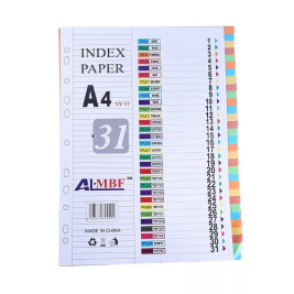 远生纸质分类索引FD1200 A4/12页