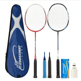 红双喜DHS 羽毛球拍双拍男女碳素复合训练羽拍M-220